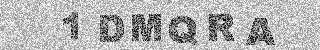 确认码